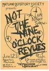 Not the 9Oclock Revue